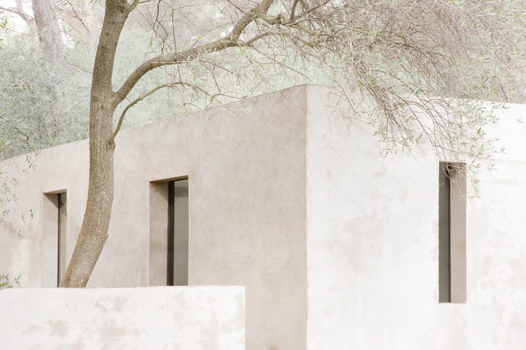a white stone building with a tree hanging over it