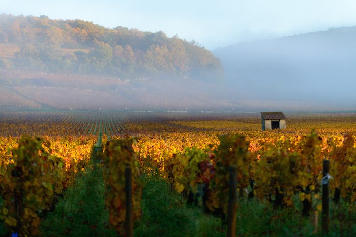 a view of the burgundy climats