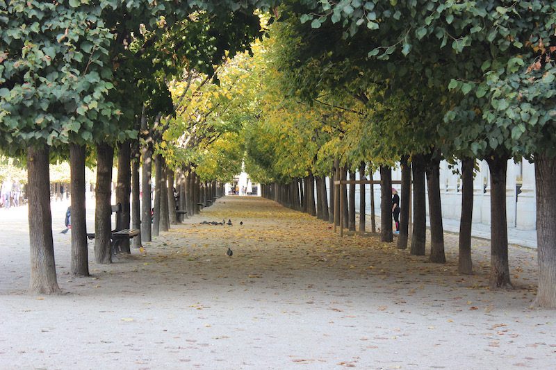 a view of jardin du palais royal in Paris