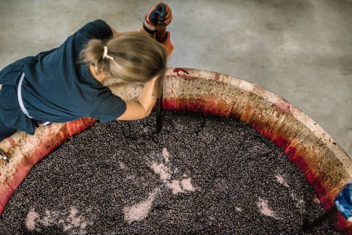 vat stirring in a wine domaine in burgundy