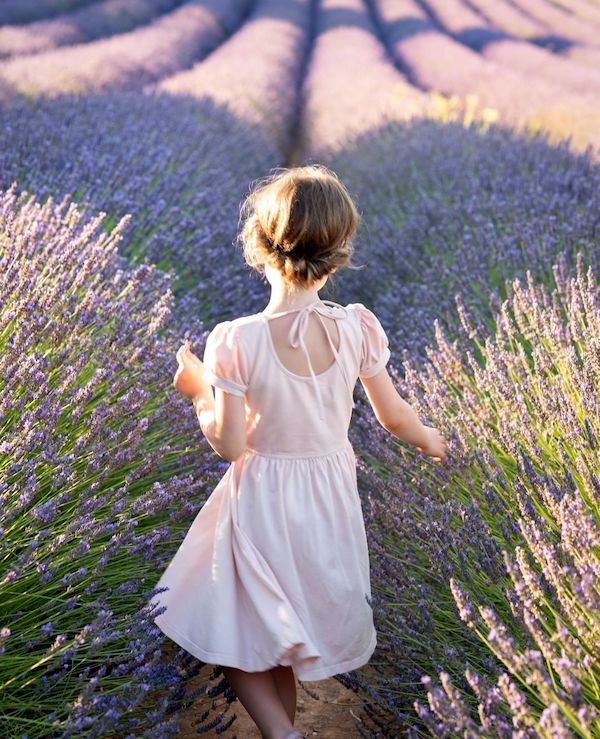 woman in white dress in fields of lavender