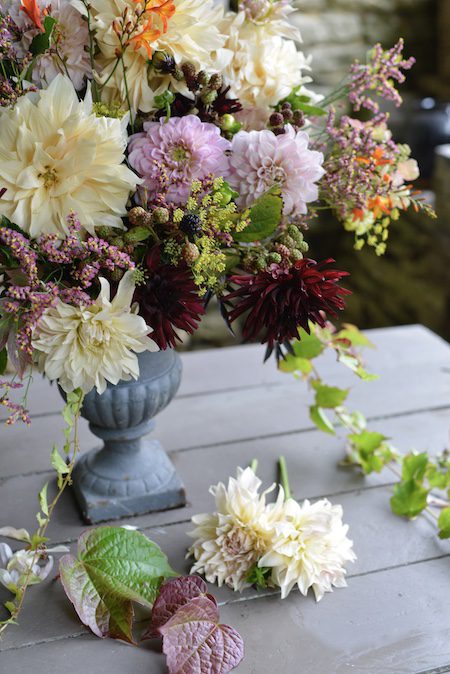 a bouquet with different colored dahlias being arranged