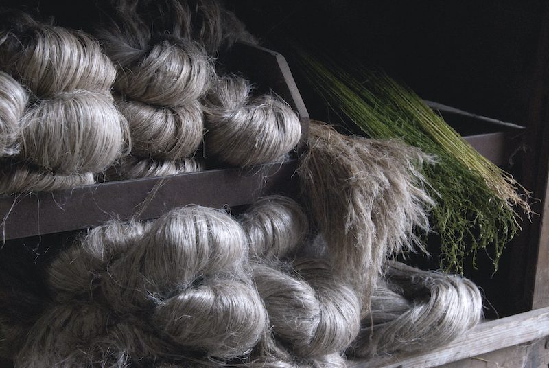 ponytails of linen fibers bundled in a cart