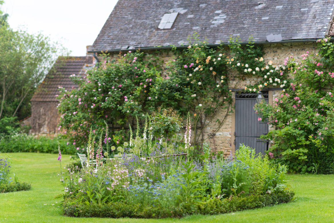 sharon santonis garden © kindra clineff mfch a garden with a flowering bed, and a barn in the background