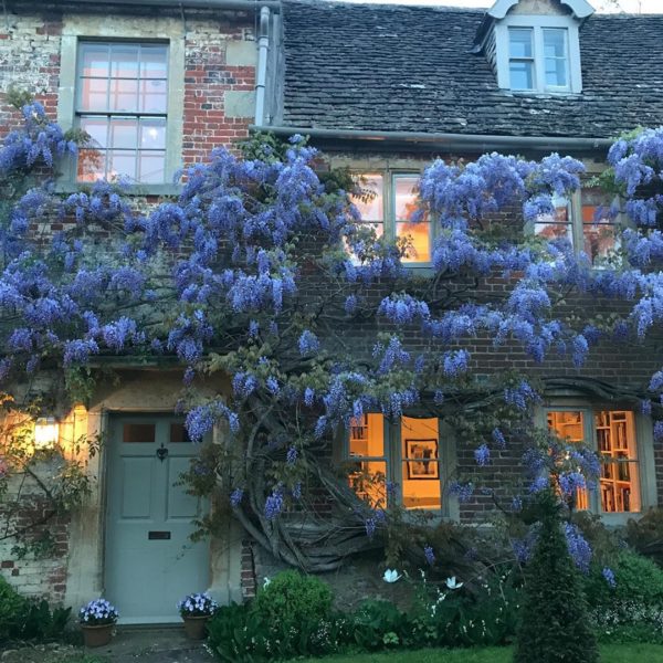 country home at dusk with wisteria