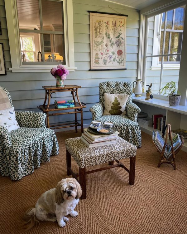 charming country style living room with dog