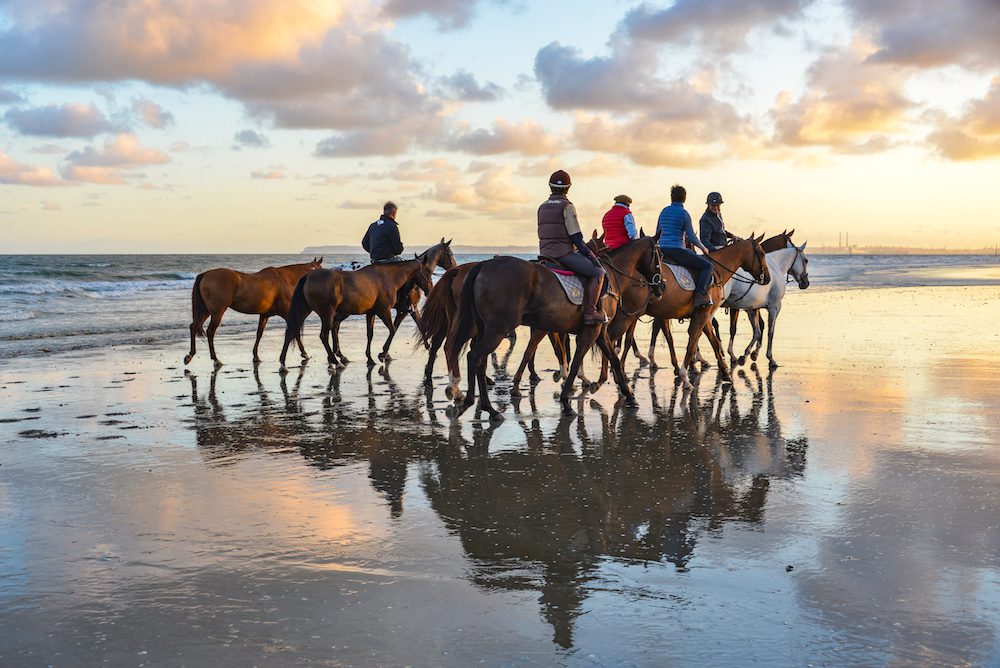 a group of horses on the beach at Deauville at dawn
