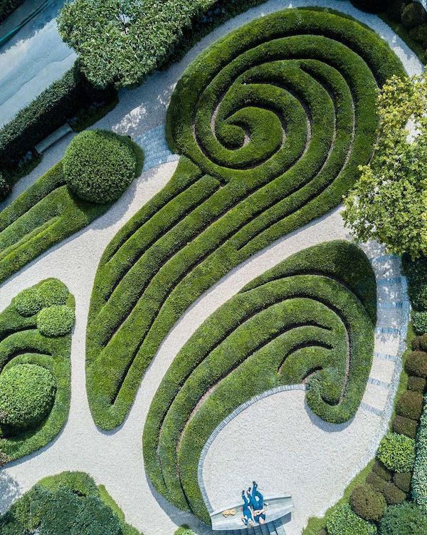 aerial view of topiary