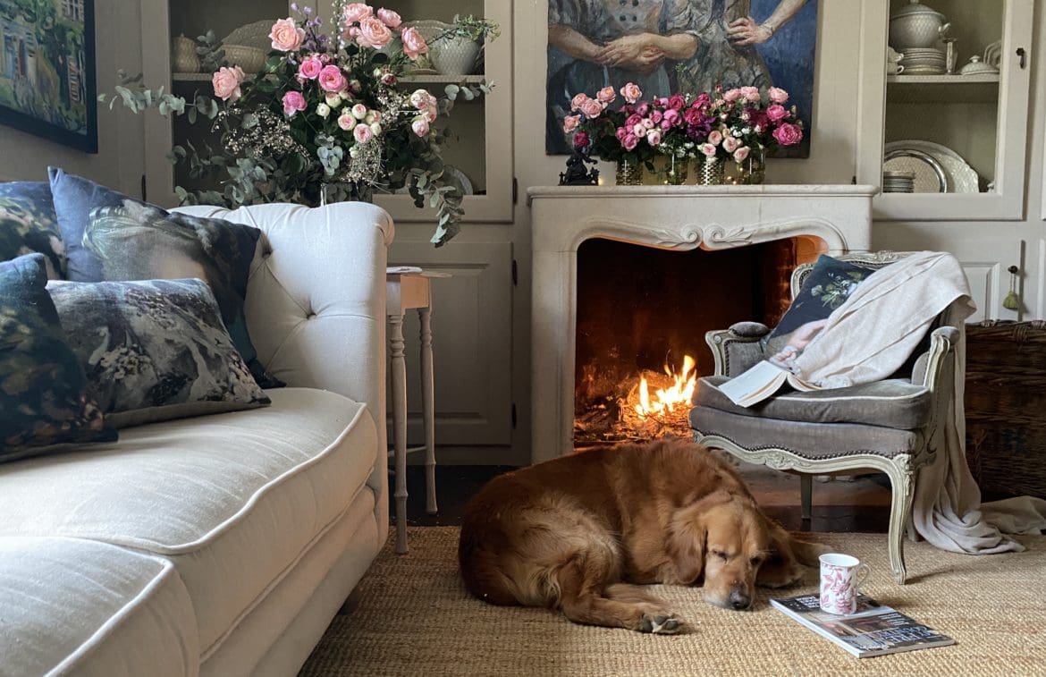 a living room with fire lit and a dog beside it