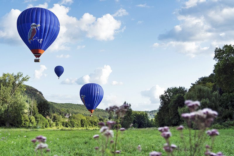 hot air balloons over field