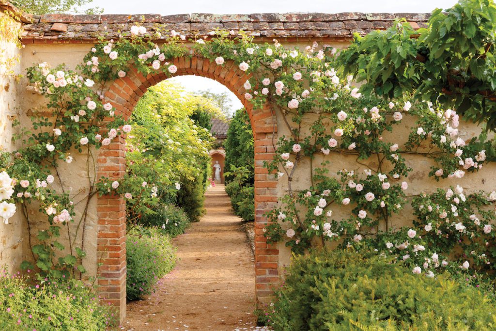 a rose covered garden