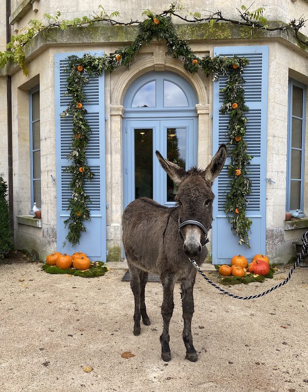 donkey in front of chateau