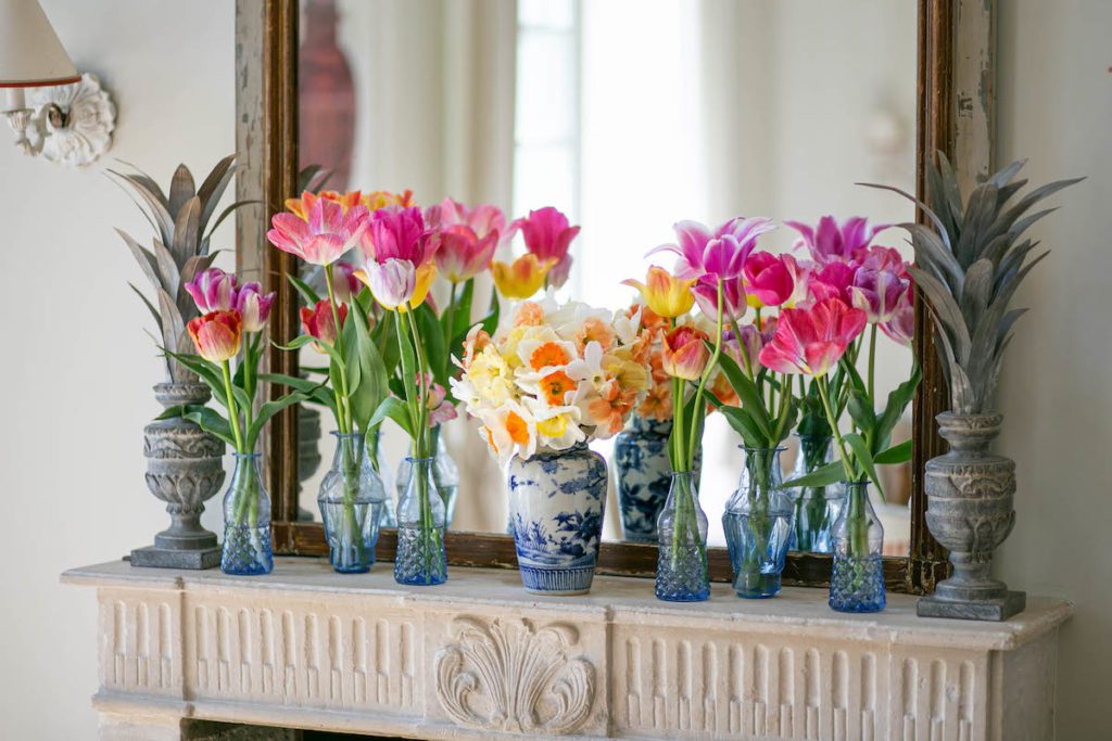 tulips in vases