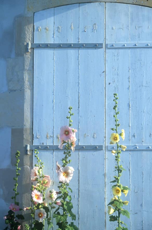 How to Master French Coastal Interior Design