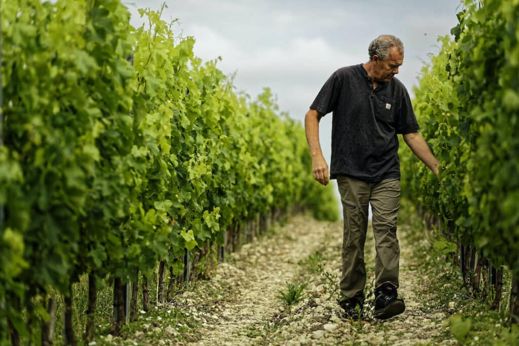 americans retire to france to start vineyard