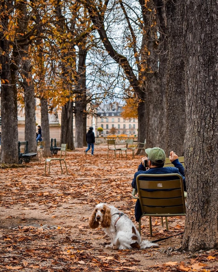 fall in france jardin du luxembourg