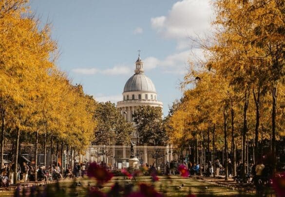 Fall Foliage Around France