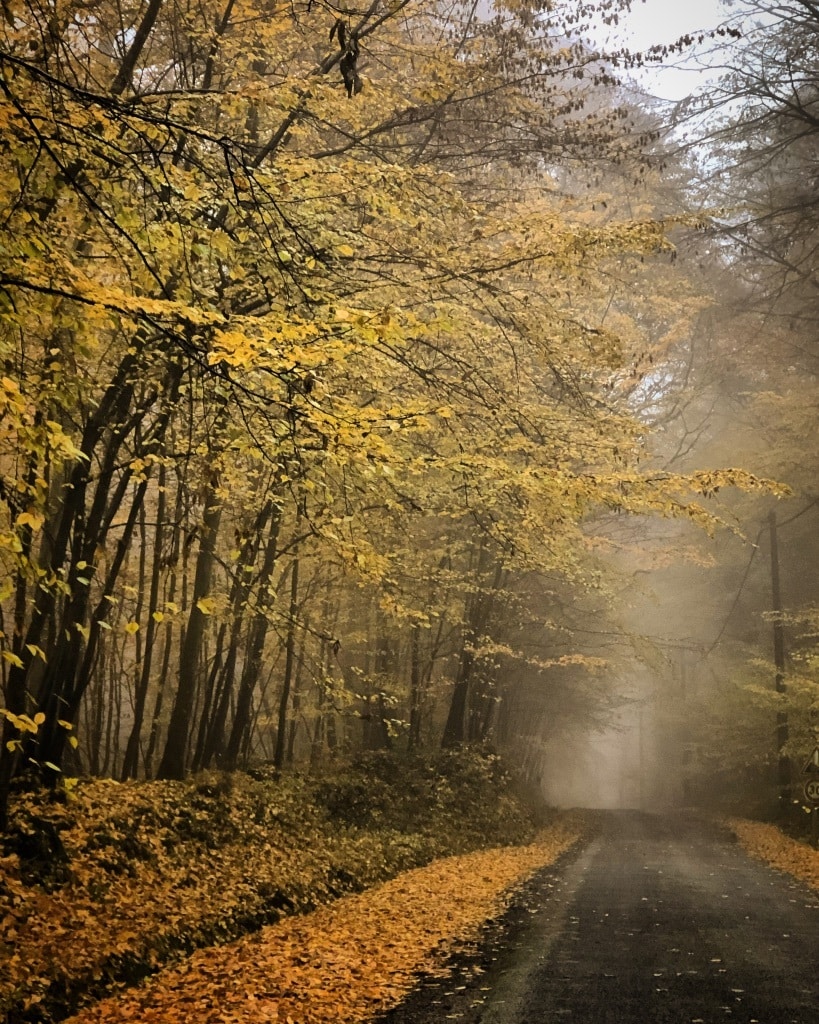 autumn in normandy