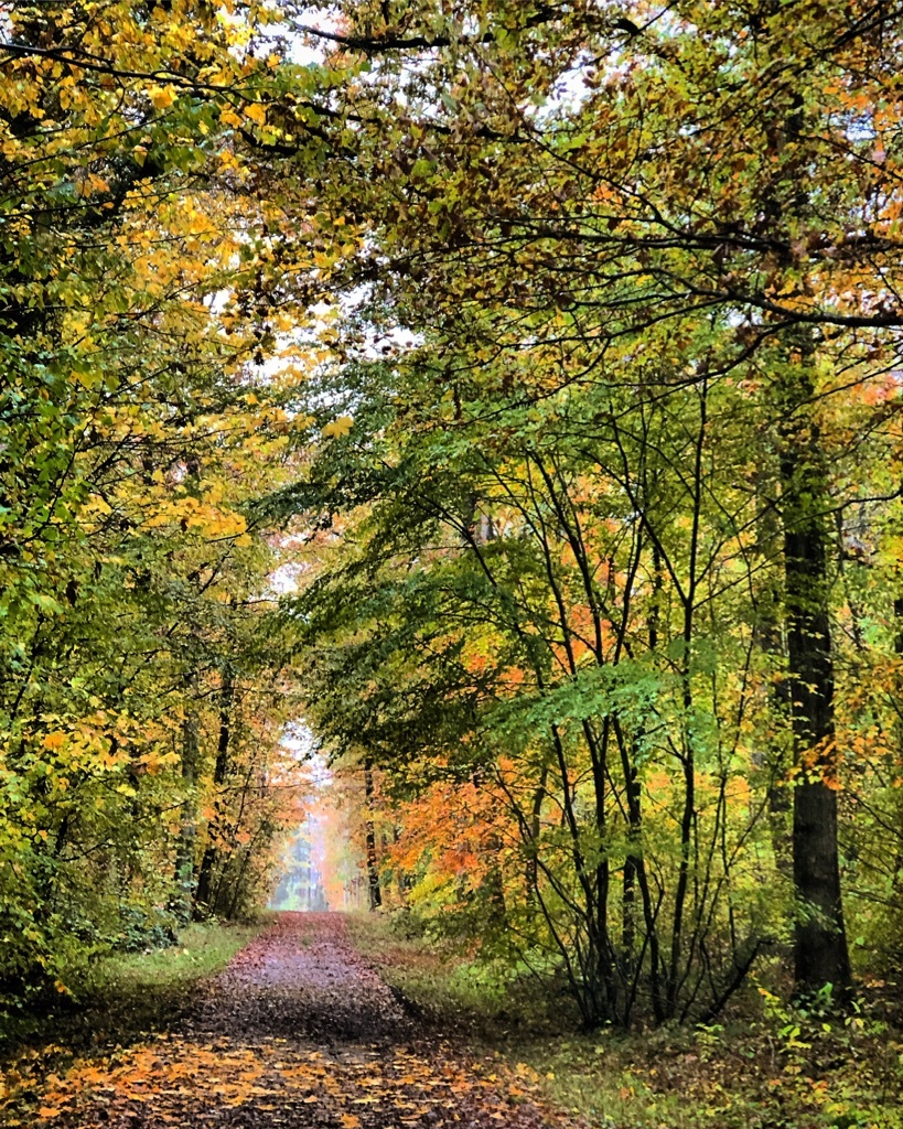 autumn in normandy