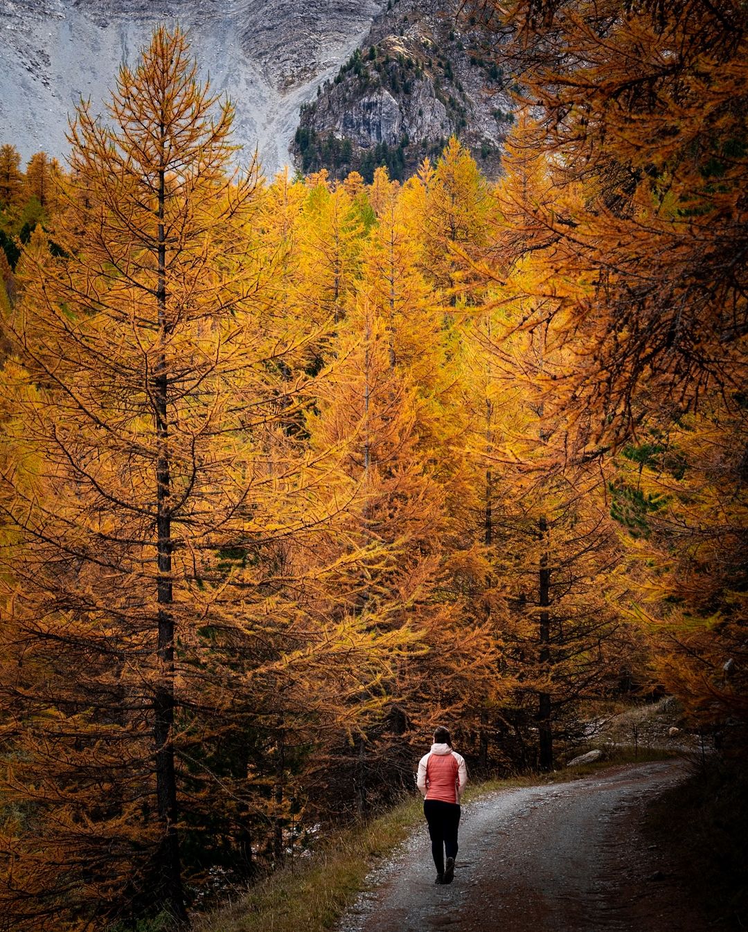 fall in france haute alpes 