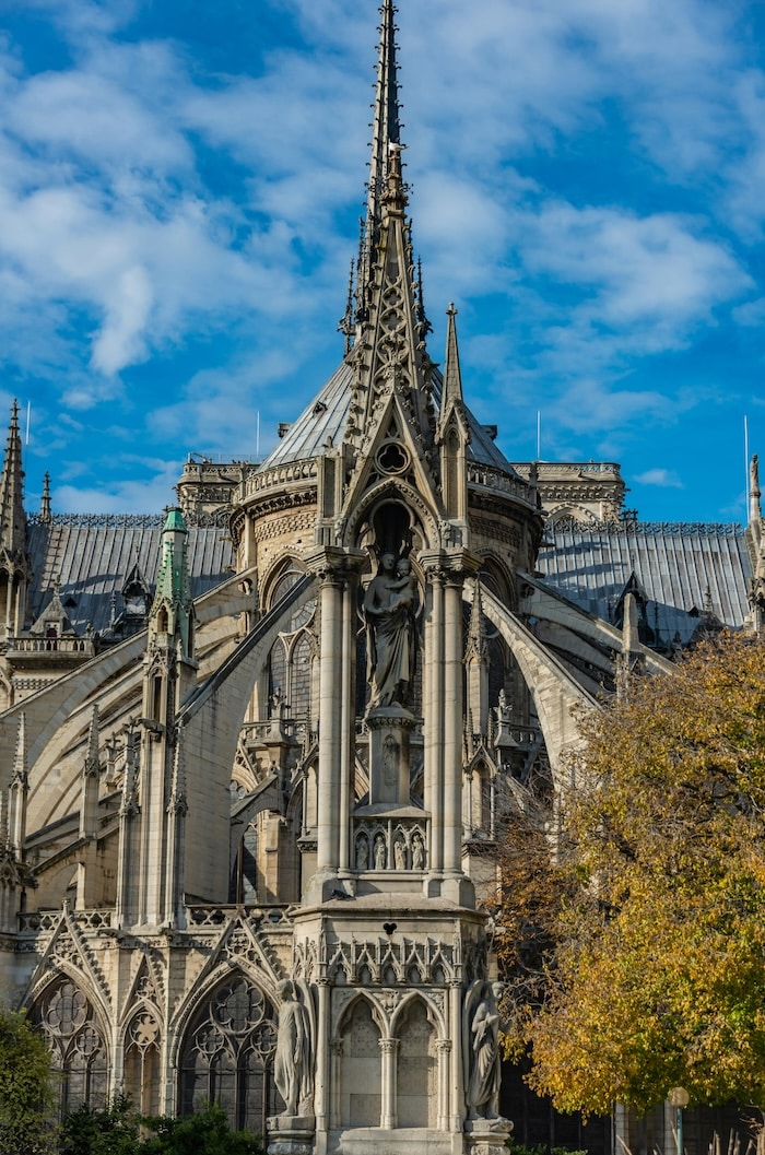 reopening of notre dame paris