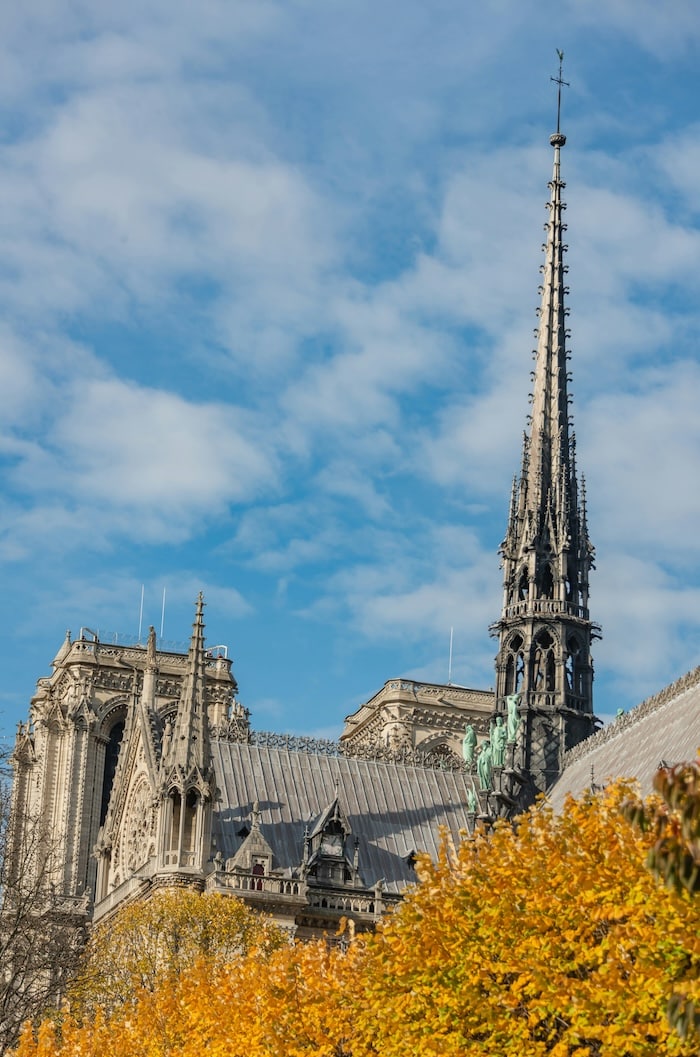 reopening of notre dame paris