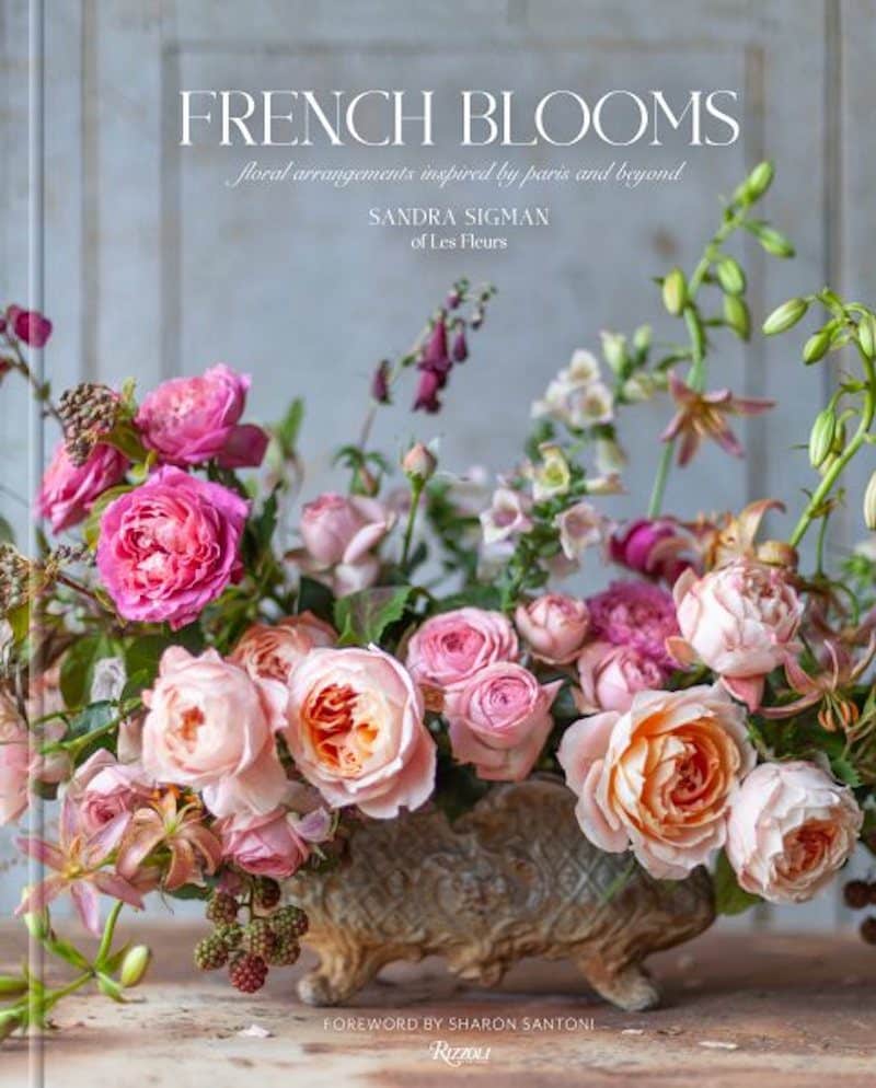 french gift ideas coffee table book