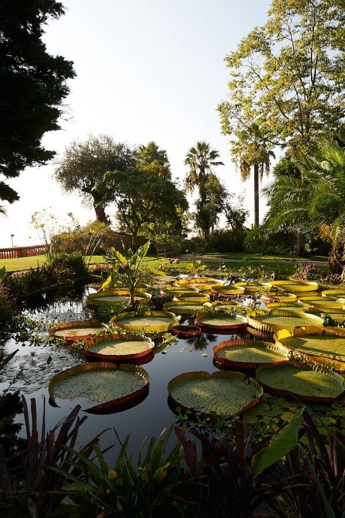 most beautiful gardens of the French Riviera jardin de la serre de la madone