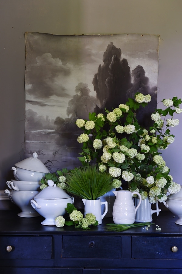 blooms in china pots