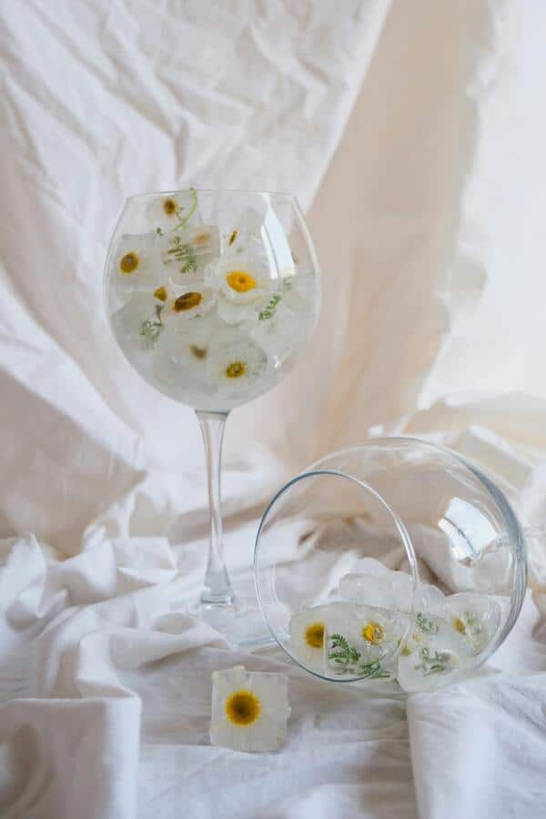 edible blooms in ice