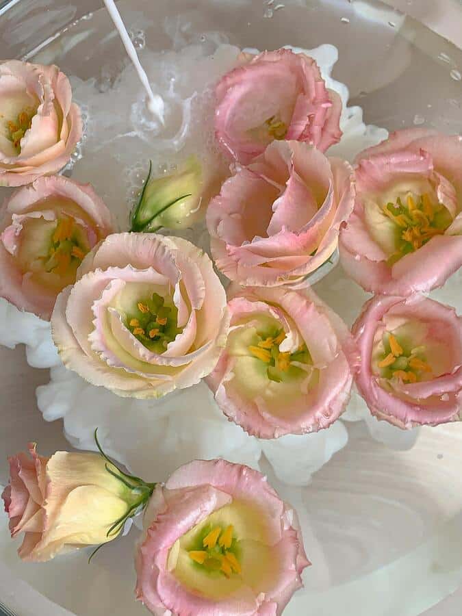 floating flowers