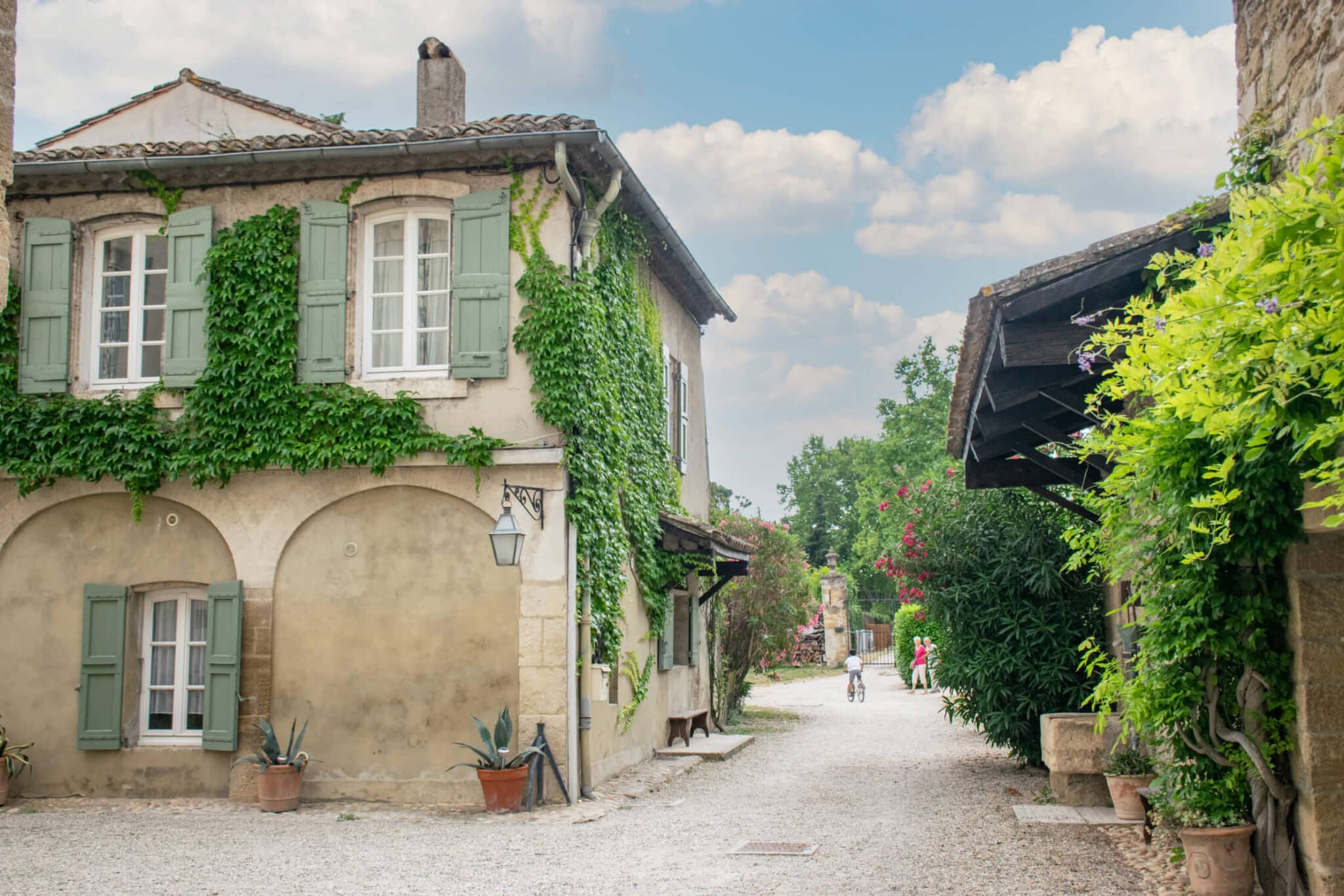 french garden design vines
