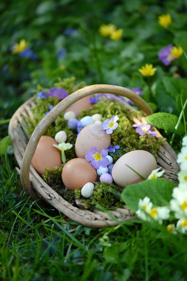 easter eggs in basket