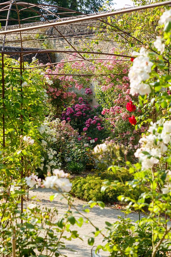 french garden design iron trellis