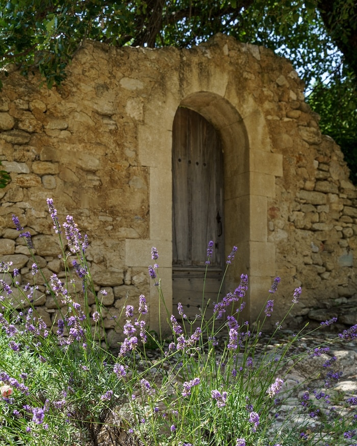 french garden design lavender