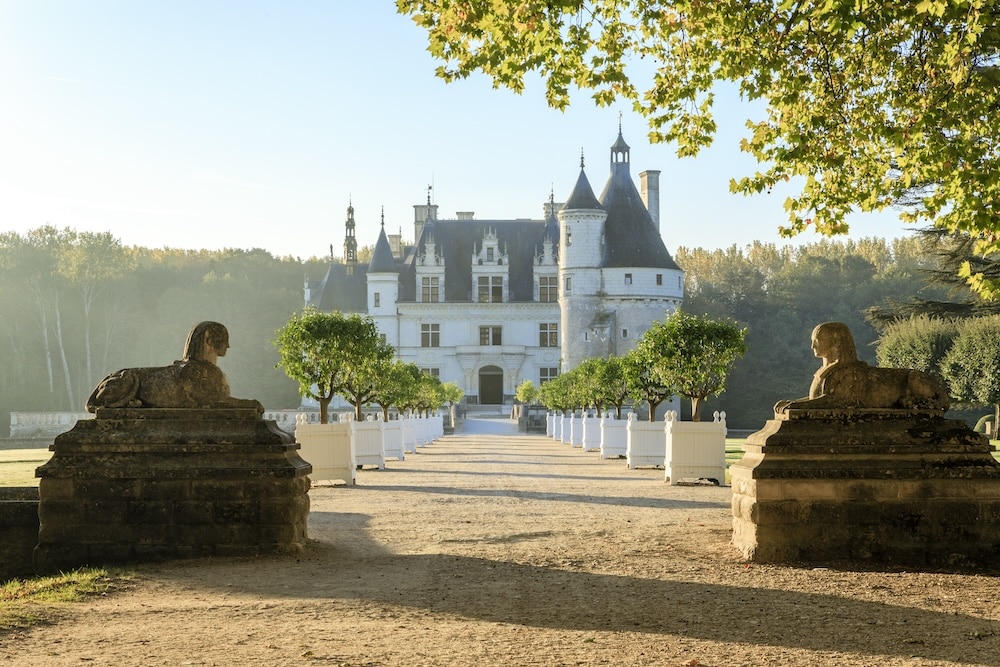 french garden design symmetry