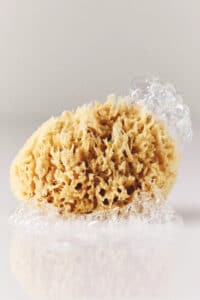 Natural sponge for deep spring cleaning. 