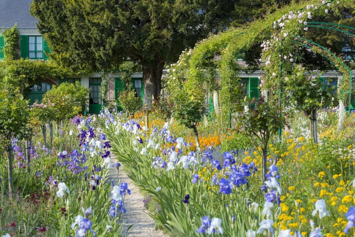 Claude Monet's garden in Giverny, France featuring rows of irises and lush greenery.