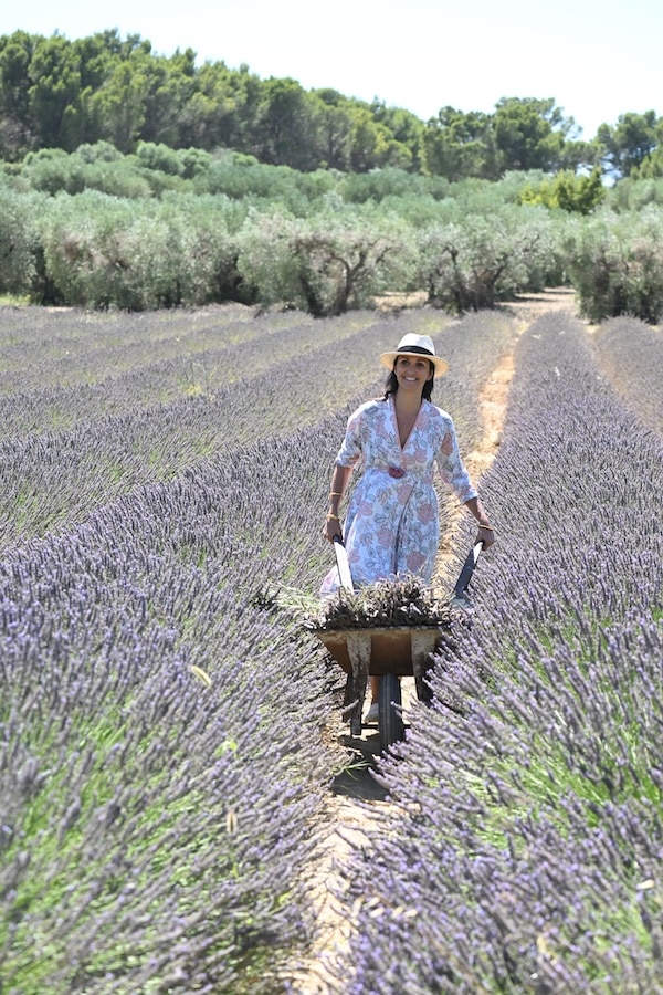 elsa lenthal wheelbarrowing lavender through the fields