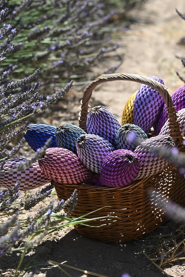 a basket of lavender wands in the lavender fields